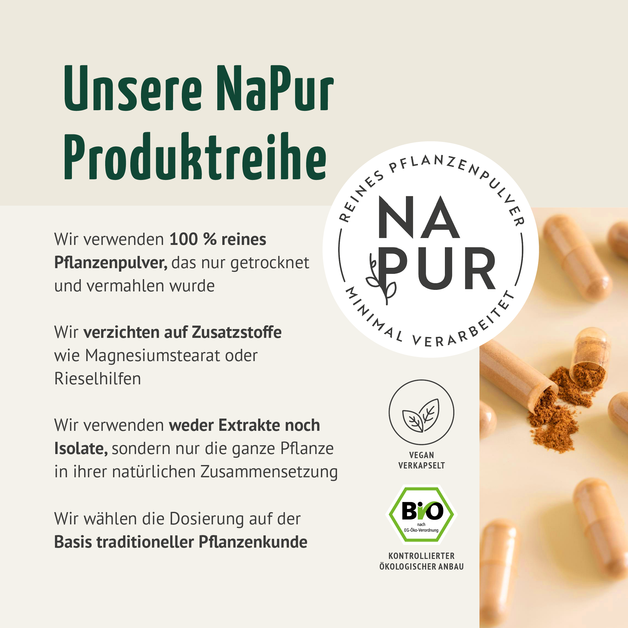Bio Kurkuma Kapseln (180 Kapseln)