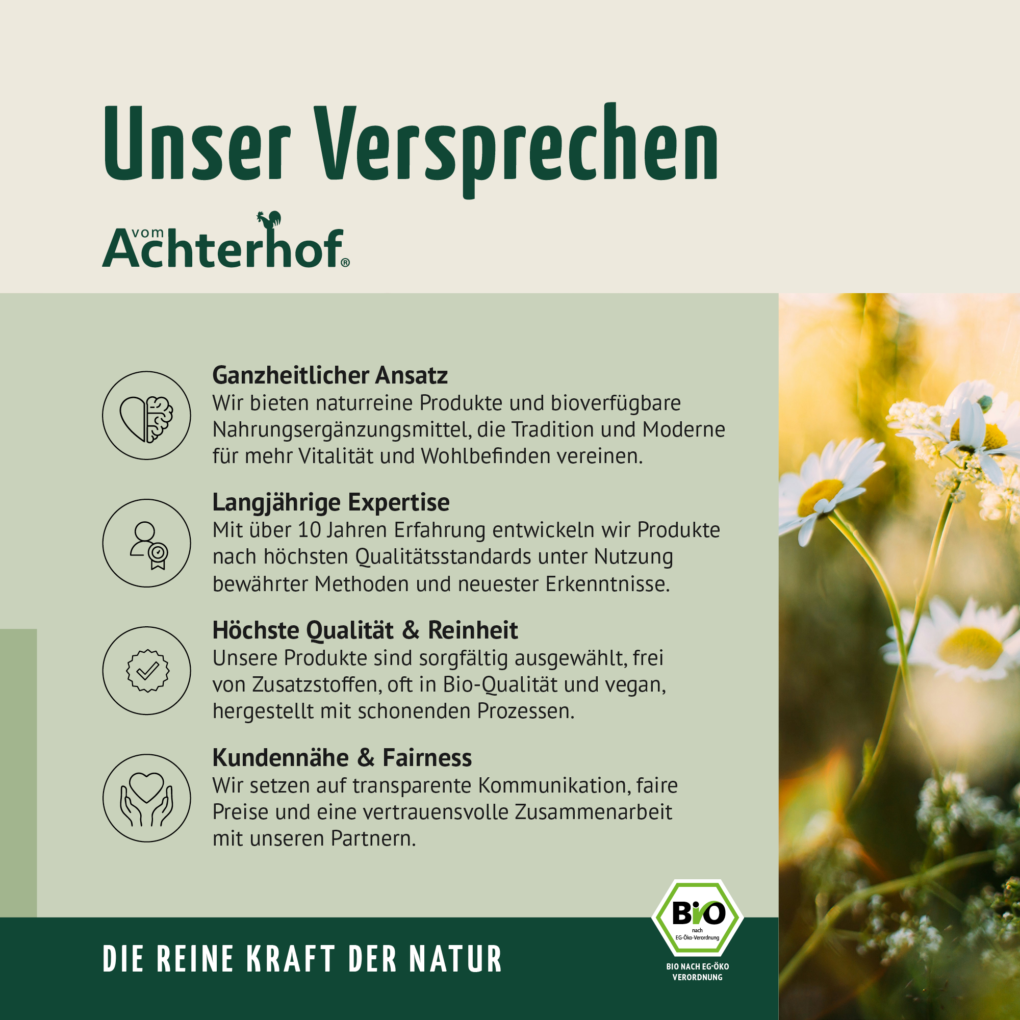 Bio Hagebutten Pulver (1000g)