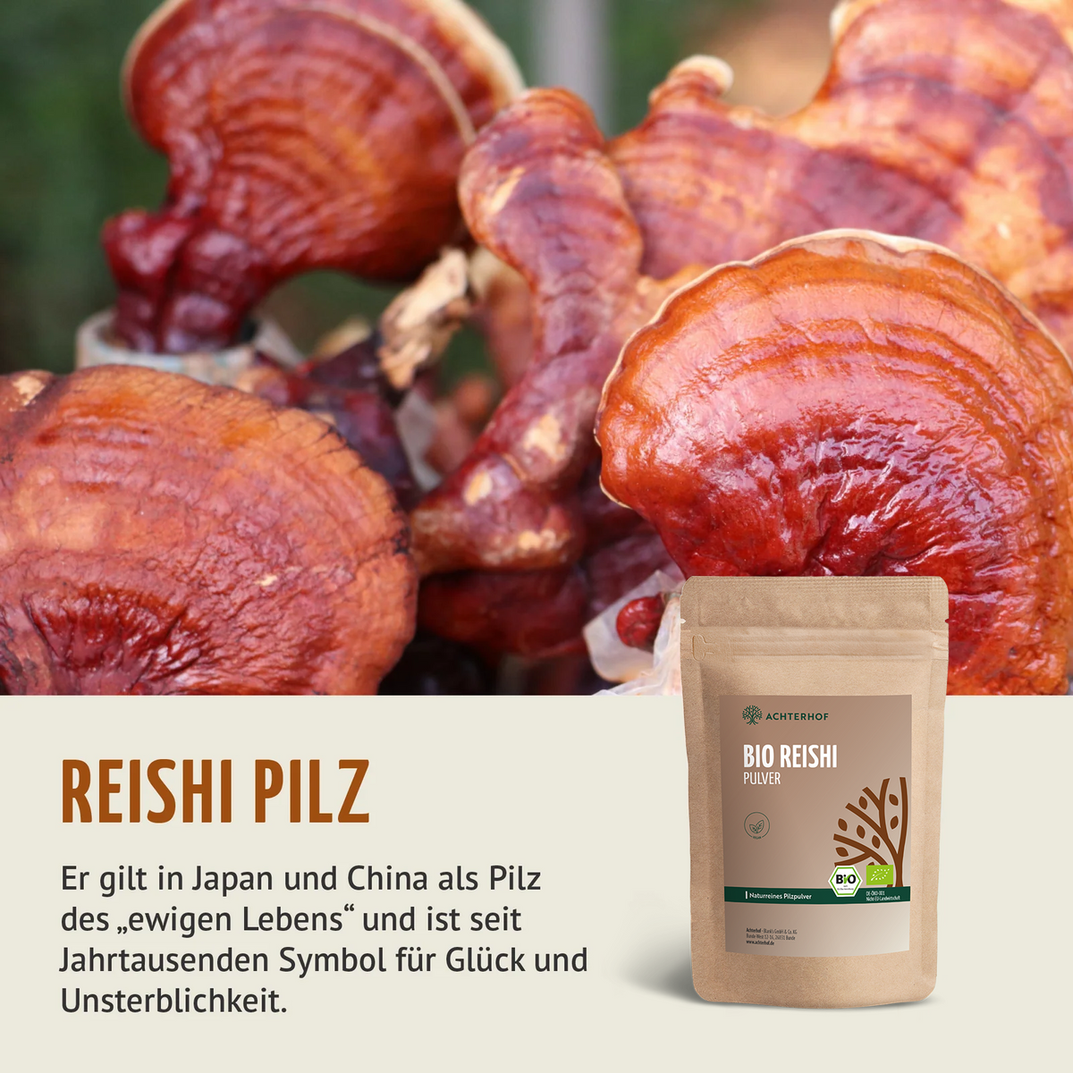 Bio Reishi Pilzpulver (250g)