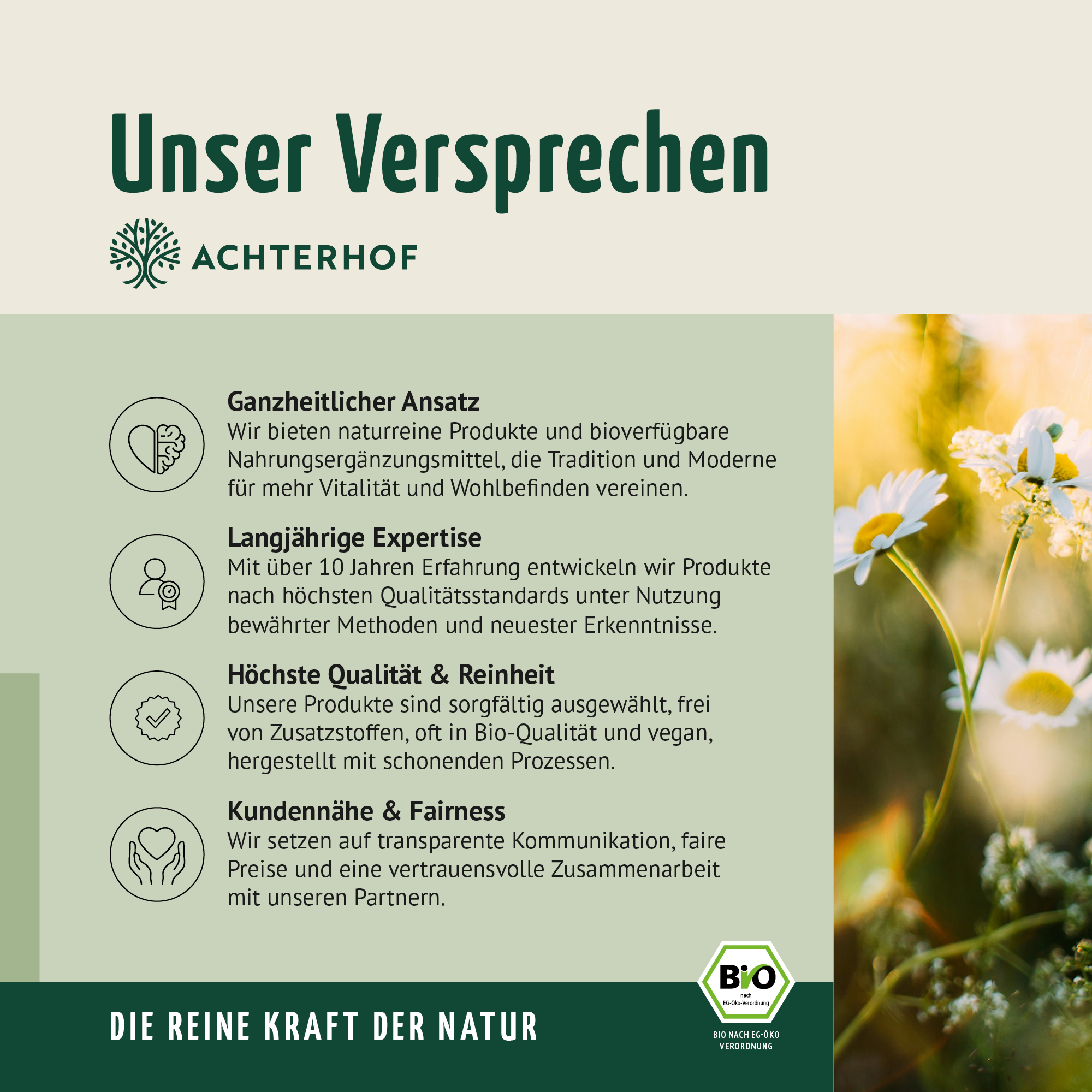 Bio Hagebutten Pulver (500g)