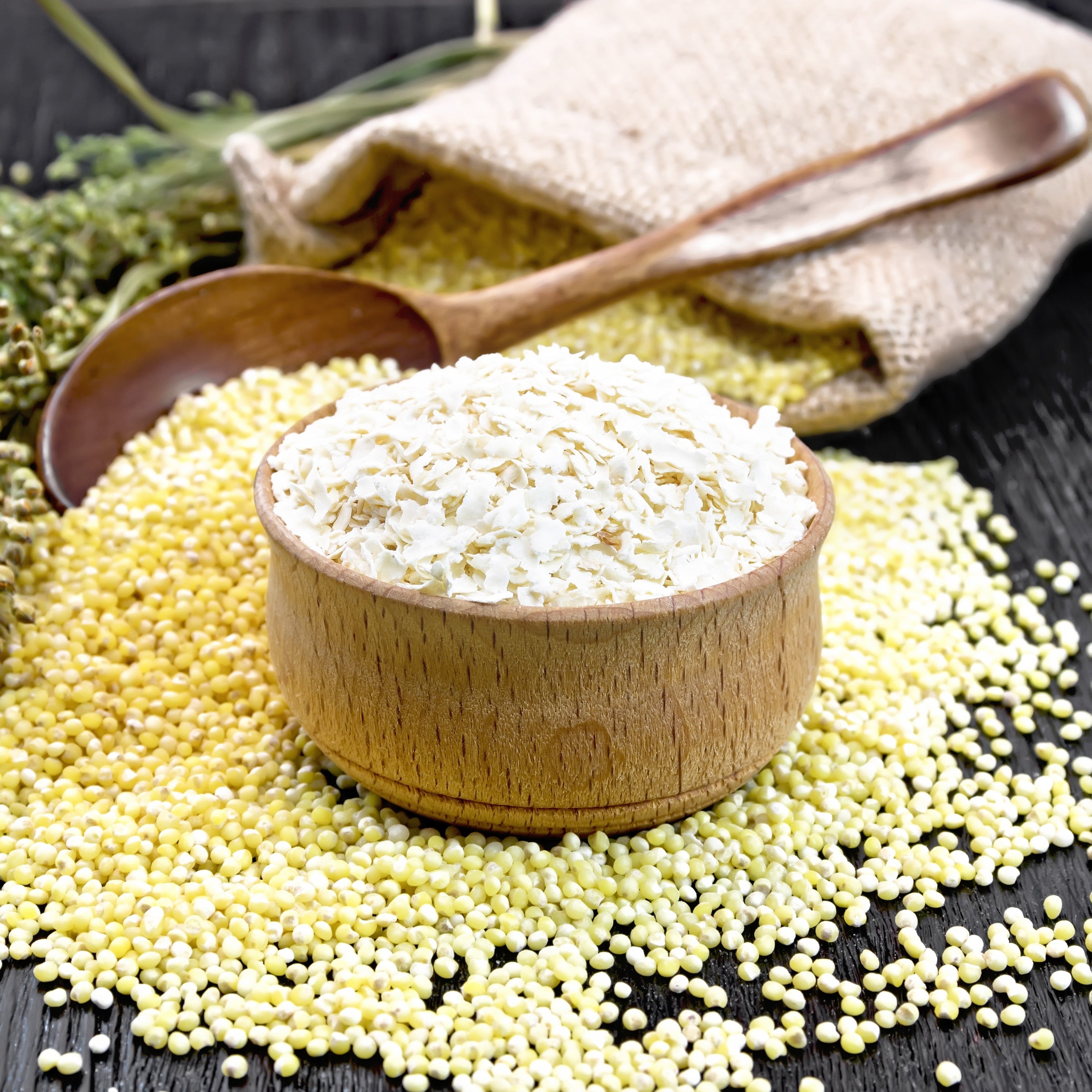 Bio Hirseflocken (500g)
