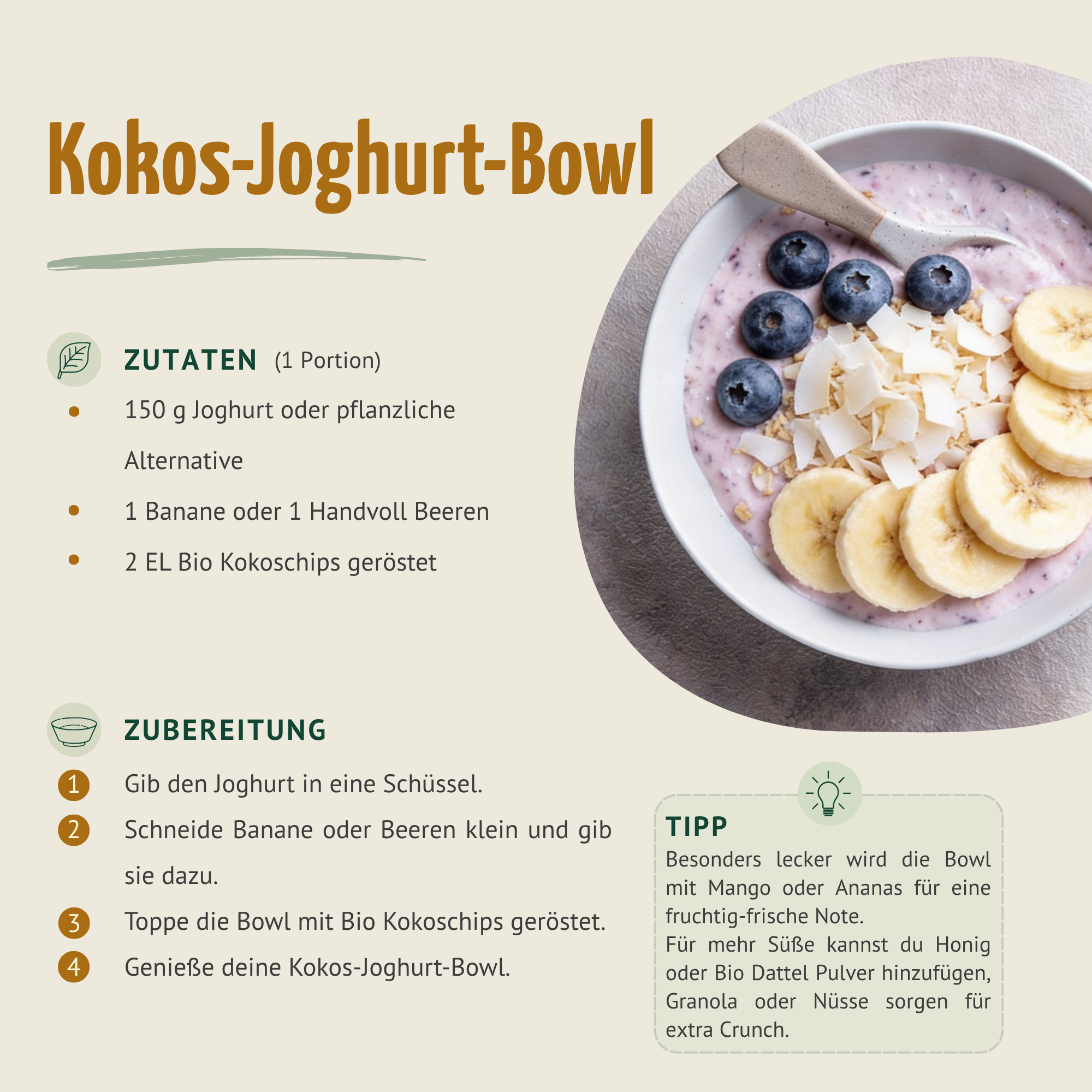Bio Kokoschips geröstet (500g)