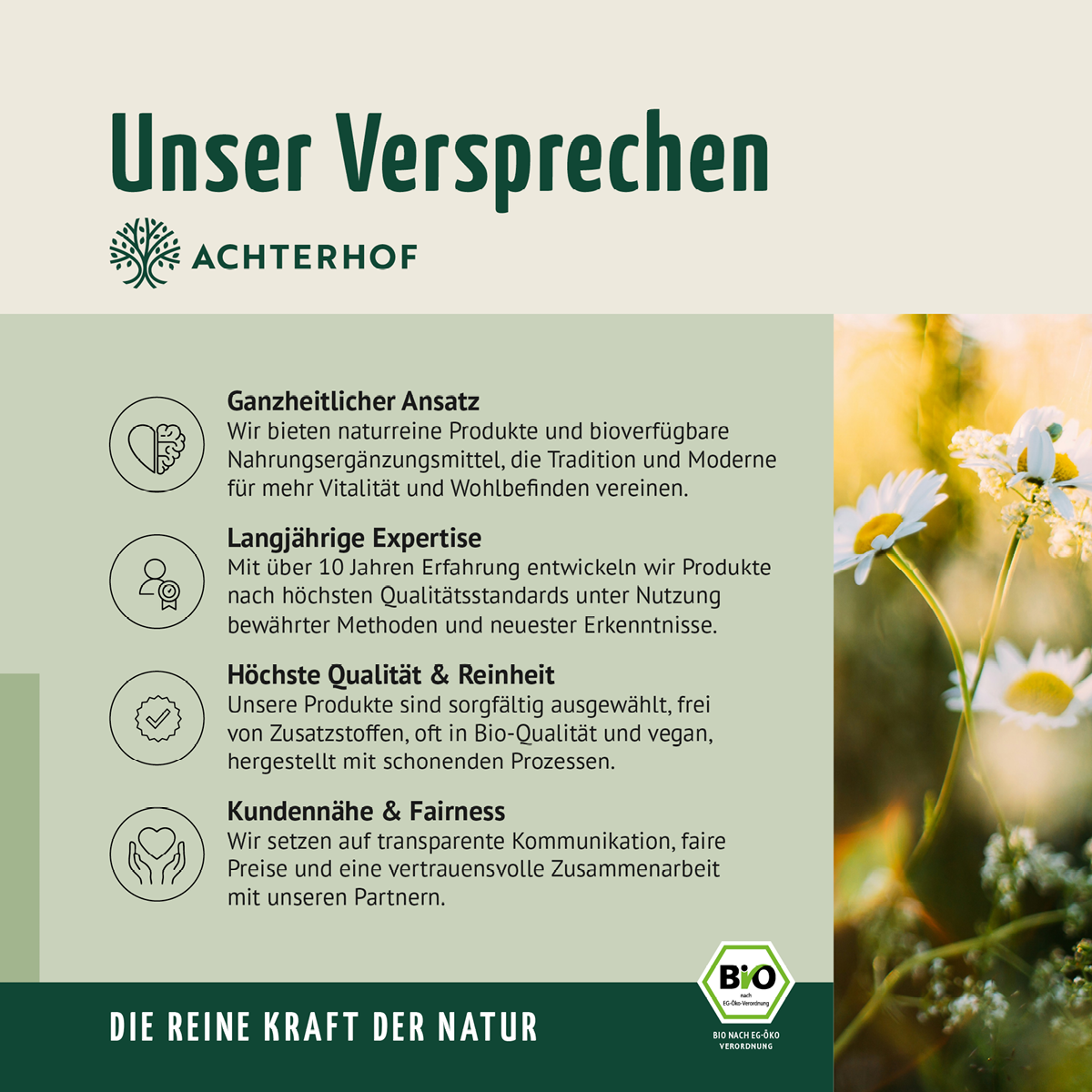 Saftstart Bio Saftkur 1-7 Tage (6 Flaschen pro Tag)