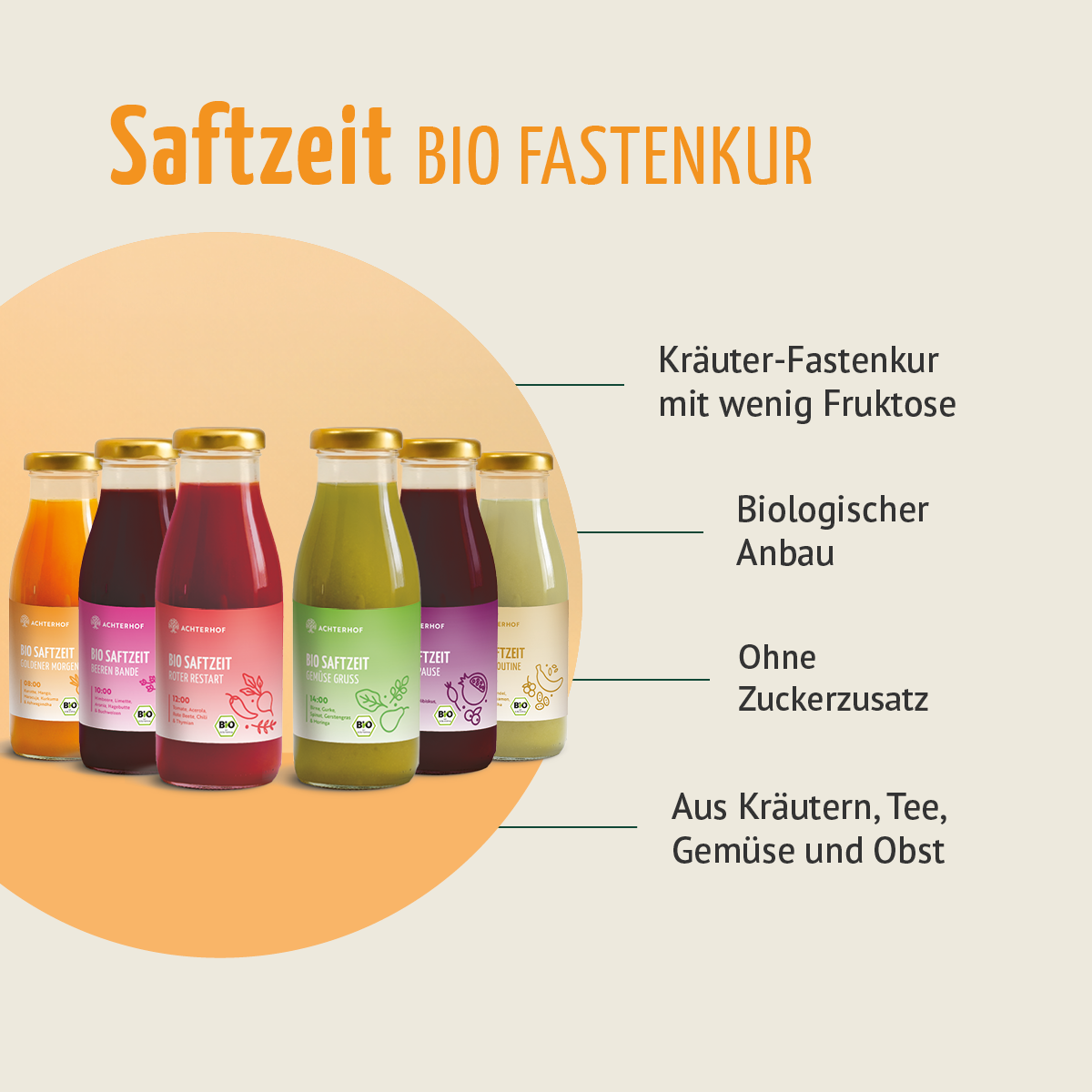 Fasten Mikronährstoff Paket
